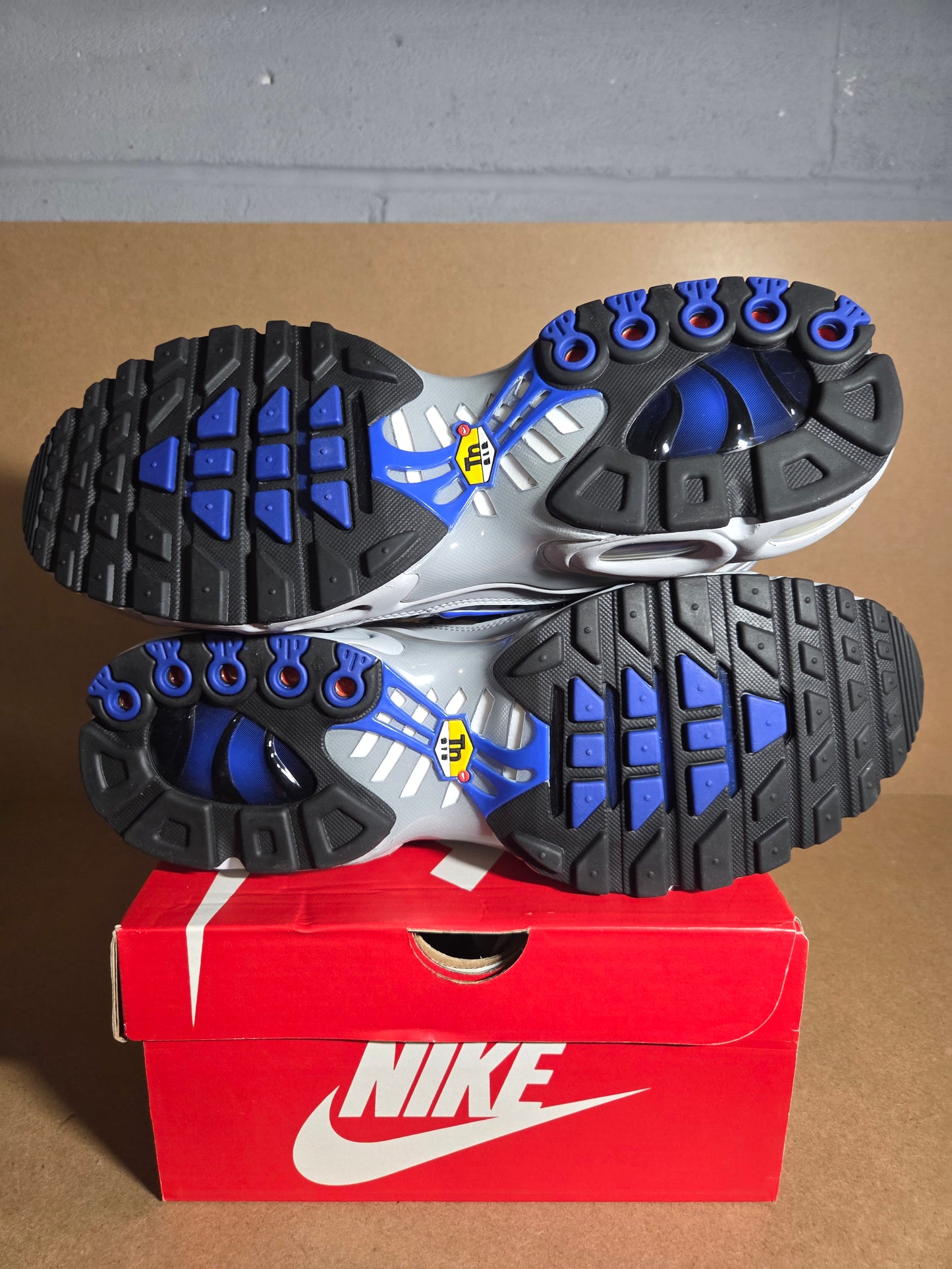 NIKE AIR MAX PLUS Wolf Grey/Racer Blue