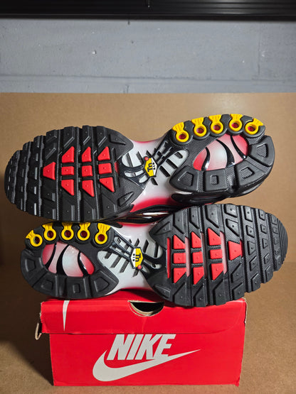 NIKE AIR MAX PLUS Pure Platinum/White