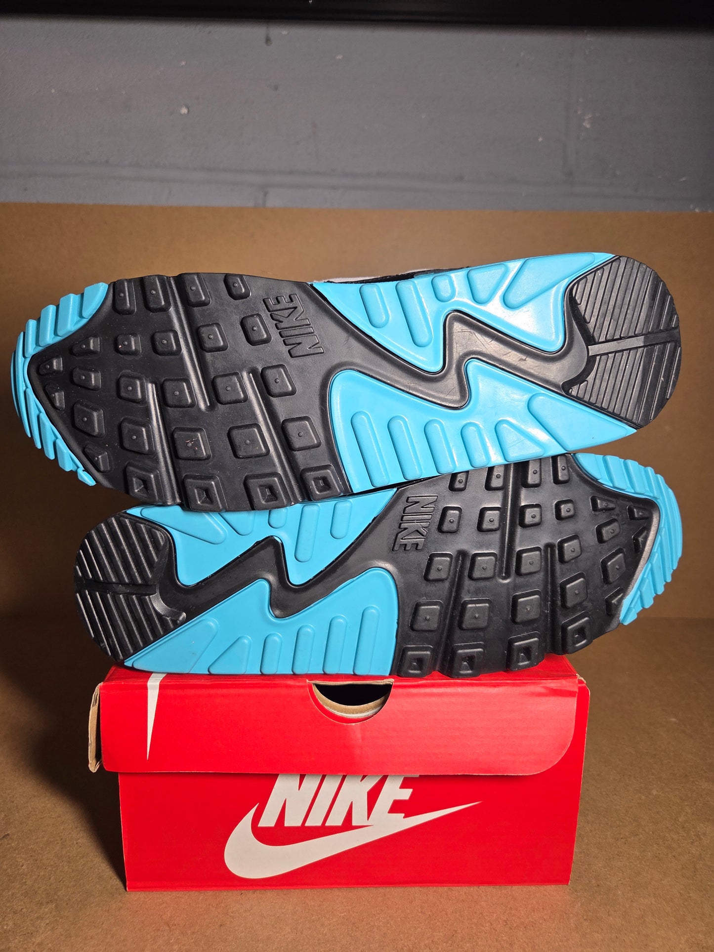 AIR MAX 90 Cool Grey/Wolf Grey