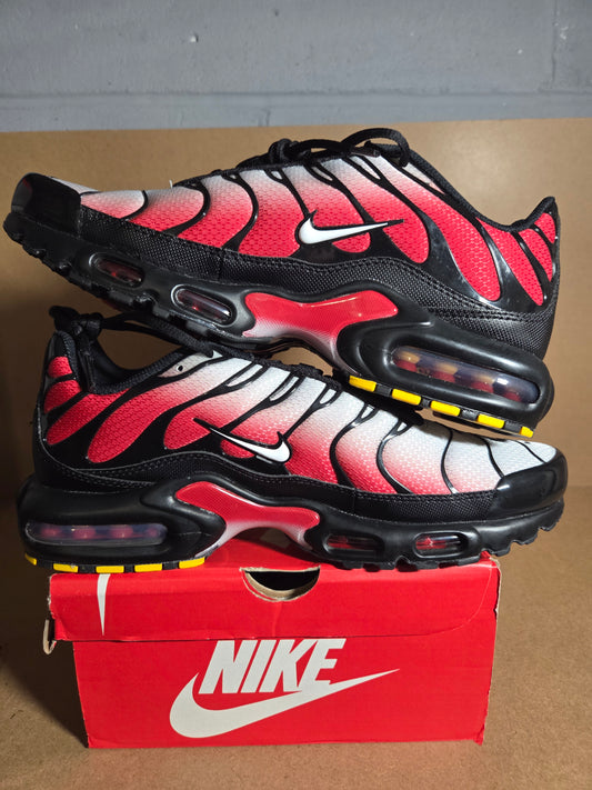 NIKE AIR MAX PLUS Pure Platinum/White