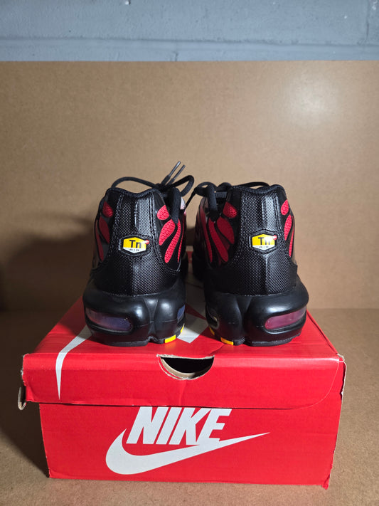 NIKE AIR MAX PLUS Pure Platinum/White