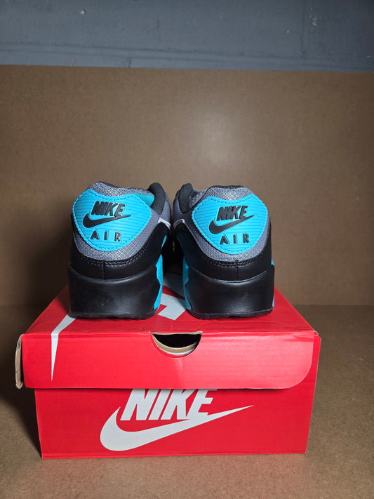 AIR MAX 90 Cool Grey/Wolf Grey