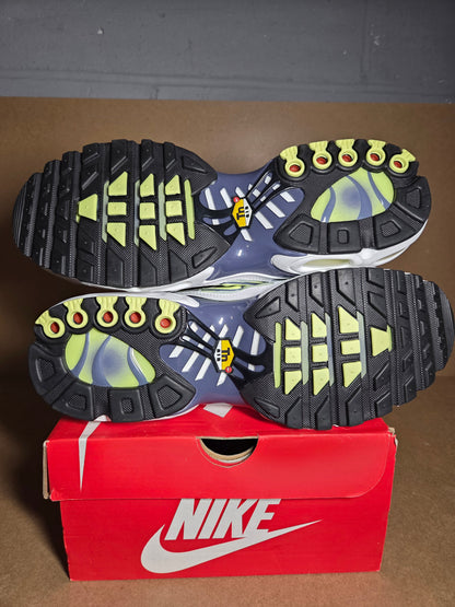 NIKE AIR MAX PLUS Pebble Grey/Lime-Steel-White